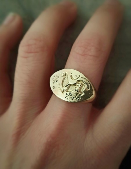 chimera roman ring ancient roman jewelry, montefortino
