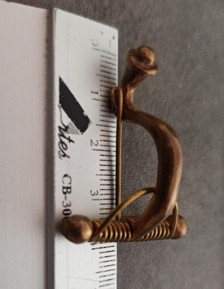 Spring fibula