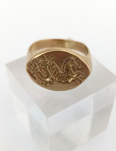 Keltischer Ring Hippokamp