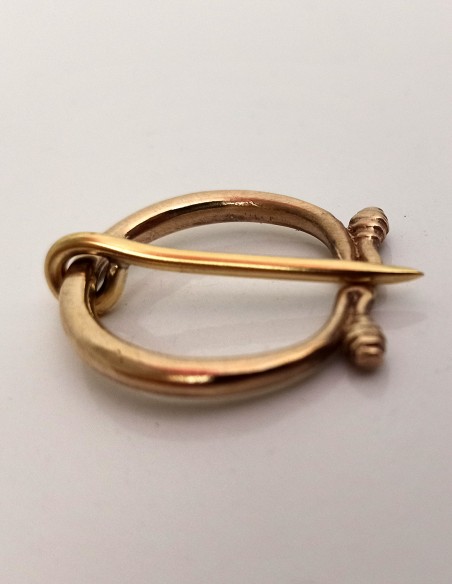 fibula omega