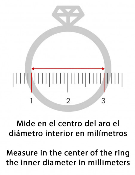 Römisch-griechischer Hochzeitsring Omonoia
