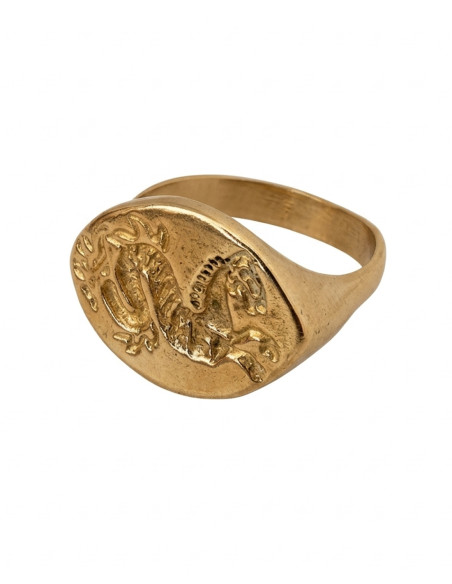 Anello celtico Ippocampo