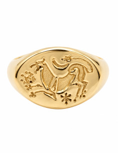 Anello Chimera